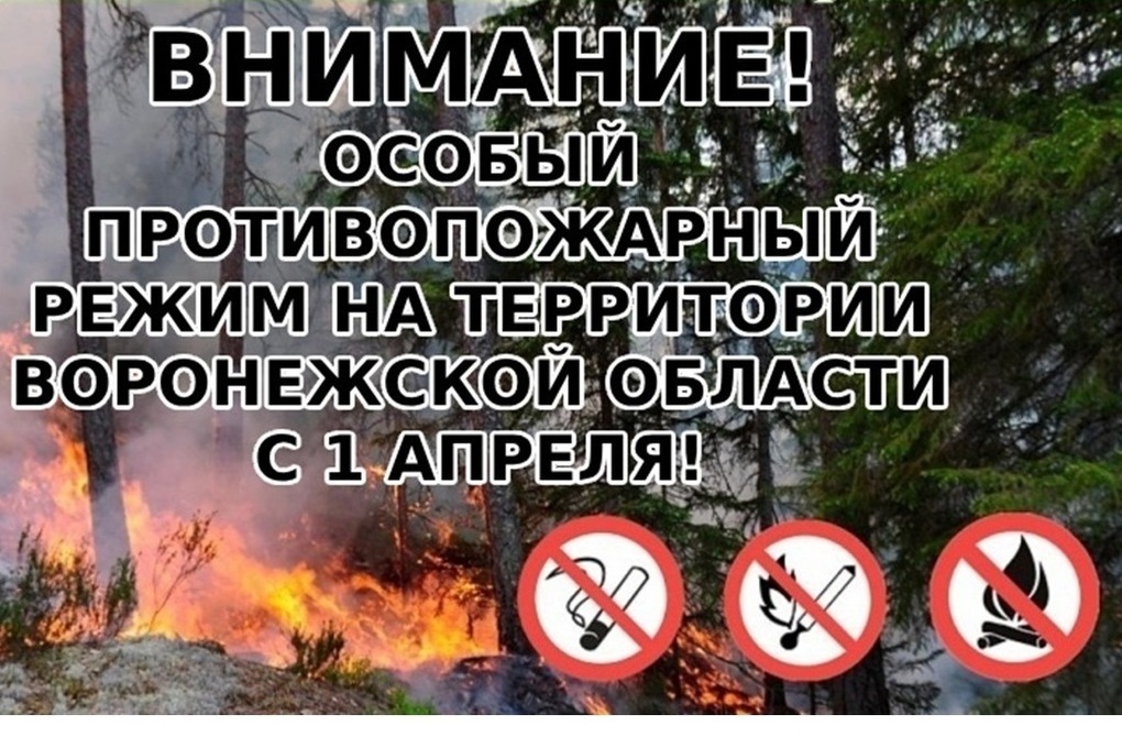 С 1 апреля 2024 года на территории Воронежской области введен особый противопожарный режим..