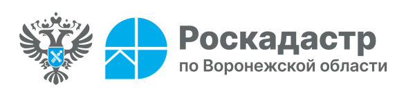 В Воронежской области оцифровано 100% кадастровых дел.