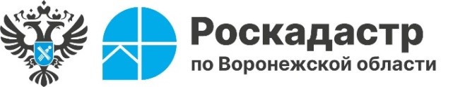 За полгода воронежцы заказали в 30 раз больше электронных выписок из ЕГРН, чем бумажных. За полгода воронежцы заказали в 30 раз больше электронных выписок из ЕГРН, чем бумажных.